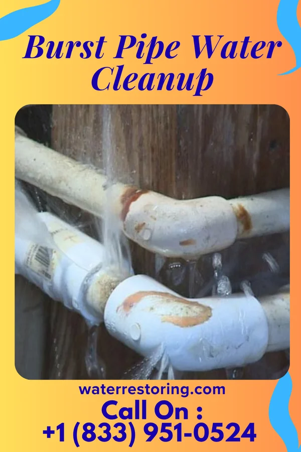 Burst Pipe Water Cleanup in Mount Hope, NJ
