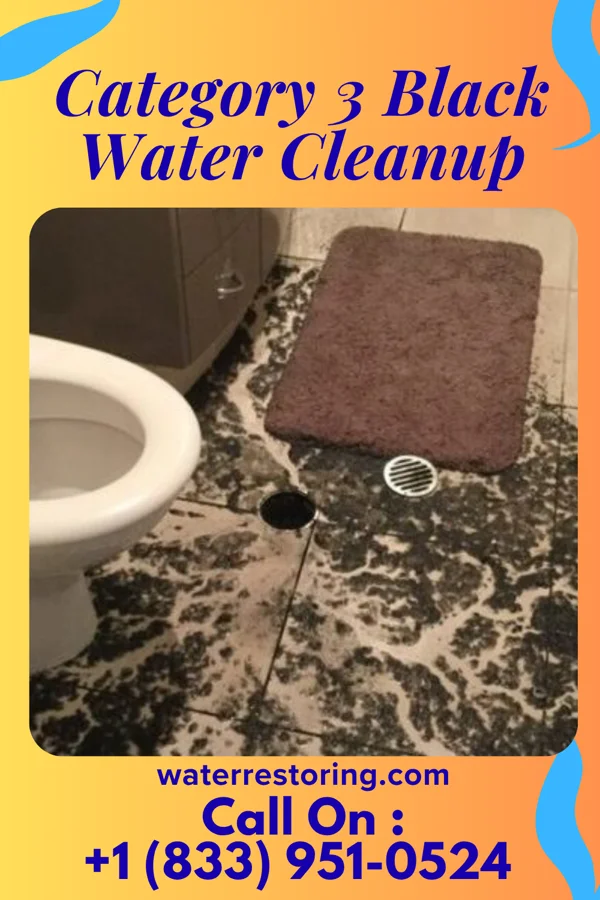 Category 3 Black Water Cleanup in Mount Hope, NJ