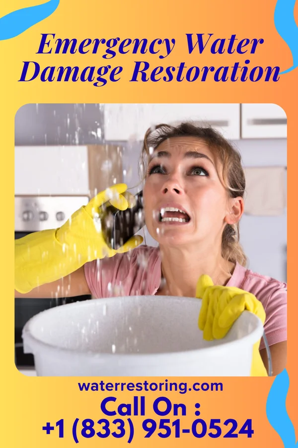 Emergency Water Damage Restoration in Mount Hope, NJ