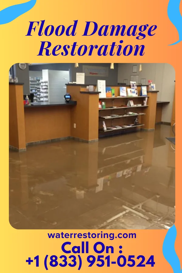 Flood Damage Restoration in Mount Hope, NJ